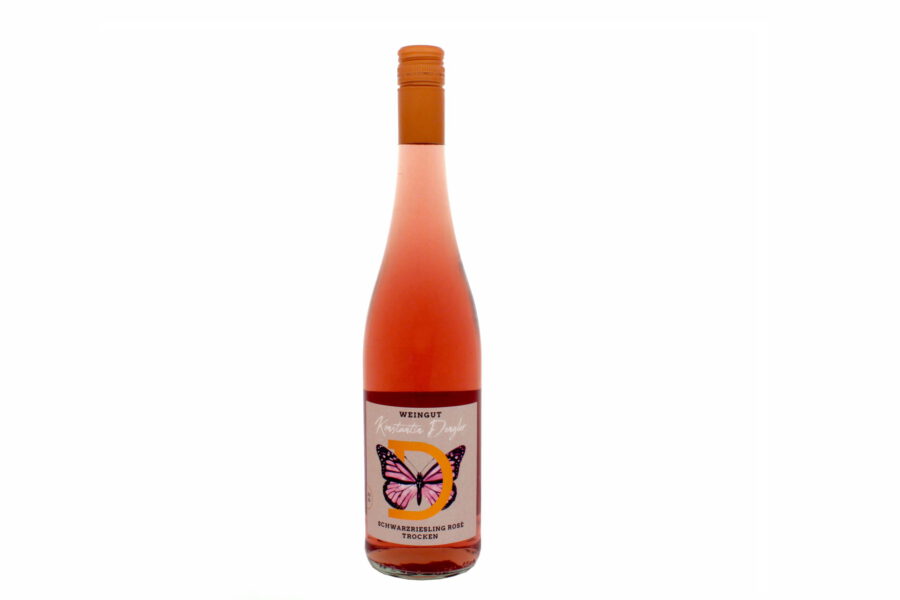 Schwarzriesling rose
